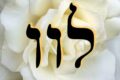 Leuviah 19th Kabbalah Angel Meditation Prayer